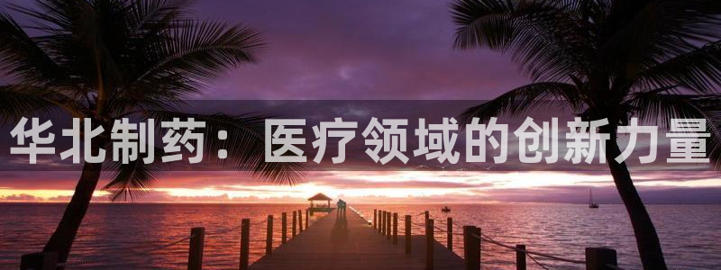 九游会老哥俱乐部交流社区：华北制药：医疗领域的创新力量