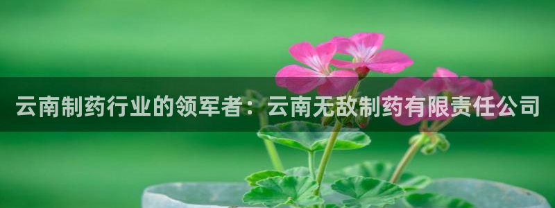 九游会老哥俱乐部必备的交流社区：云南制药行业的领军者：云南无敌制药有限责任公司
