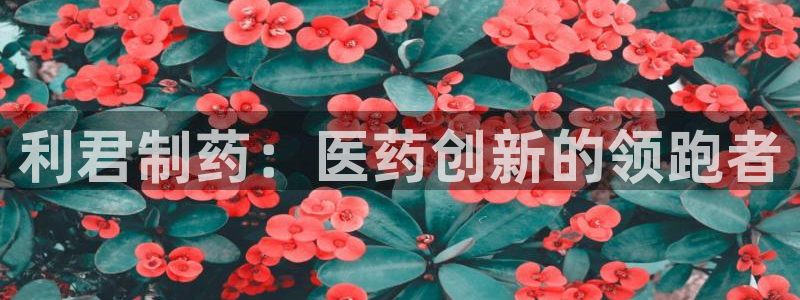 ag九游老哥俱乐部：利君制药：医药创新的领跑者