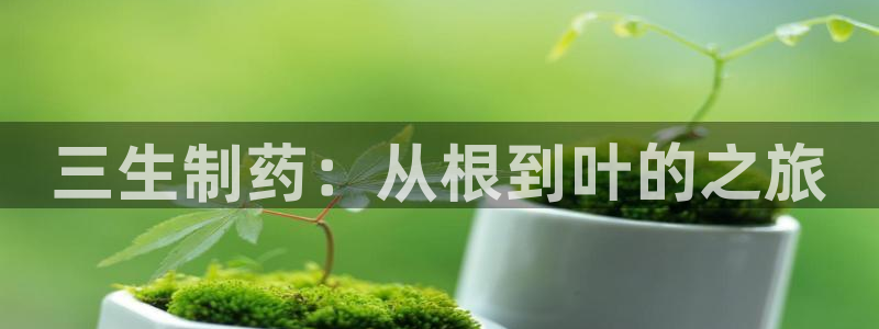 九游会老哥：三生制药：从根到叶的之旅