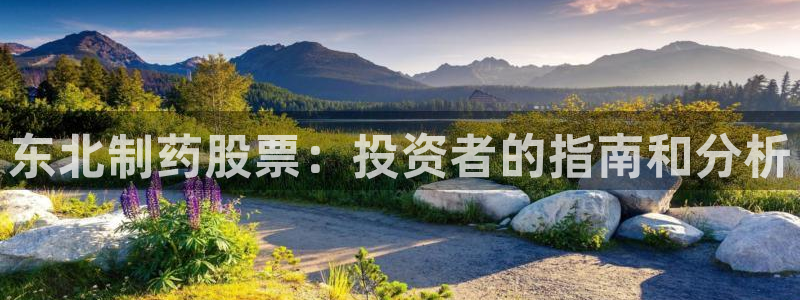 九游会老哥：东北制药股票：投资者的指南和分析