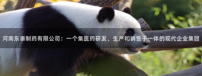 九游会老哥俱乐部官网：河南东泰制药有限公司：一个集医药研发、生产和销售于一体的现代企业集团