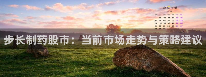 九游会老哥：步长制药股市：当前市场走势与策略建议