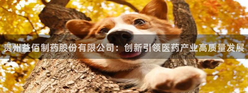 九游会老哥俱乐部：贵州益佰制药股份有限公司：创新引领医药产业高质量发展