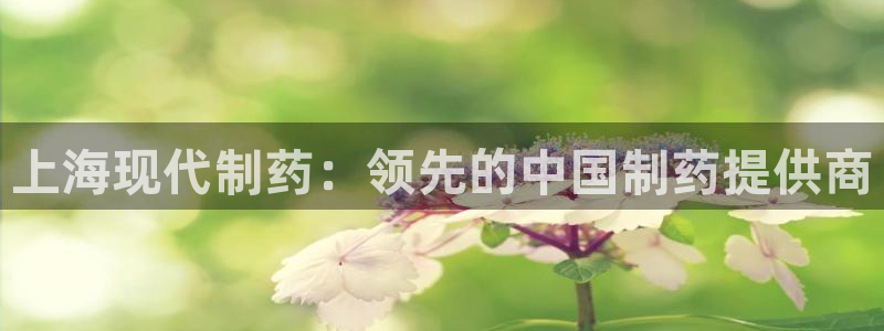 老哥俱乐部是干什么的