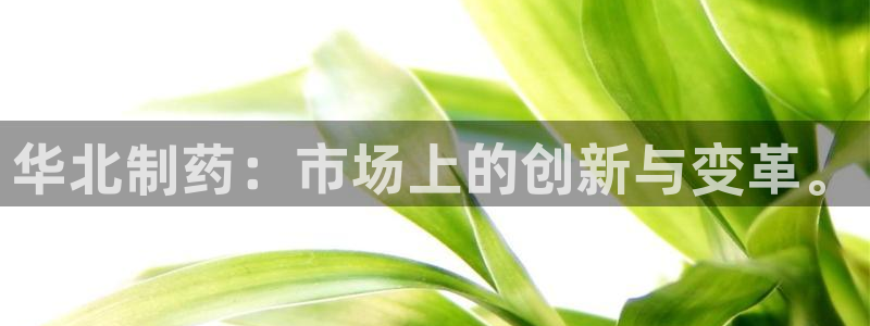 九游老哥俱乐部官网登录网址：华北制药：市场上的创新与变革。