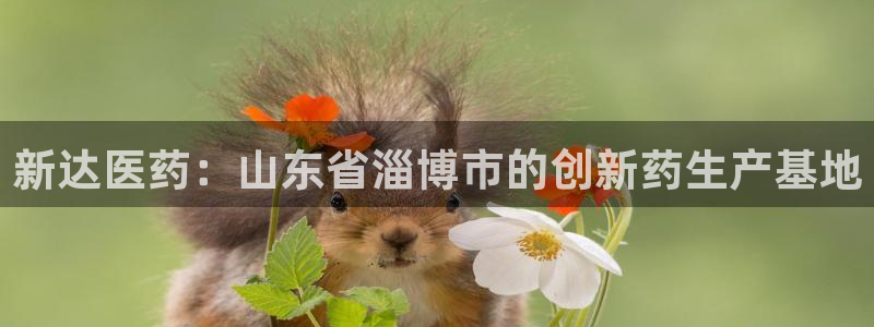 九游会老哥必备的交流社区九：新达医药：山东省淄博市的创新药生产基地