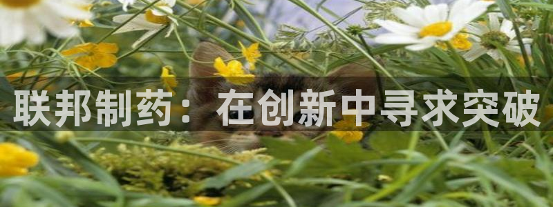 老哥俱乐部是干什么的：联邦制药：在创新中寻求突破