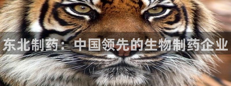 九游会老哥俱乐部官网：东北制药：中国领先的生物制药企业