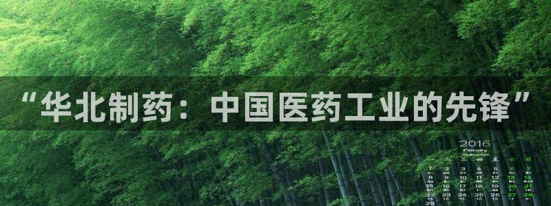 九游老哥俱乐部官网登录网址：“华北制药：中国医药工业的先锋”