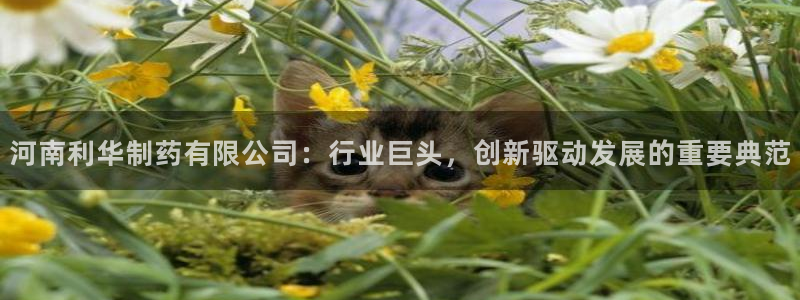 老哥吧九游会下架吗：河南利华制药有限公司：行业巨头，创新驱动发展的重要典范