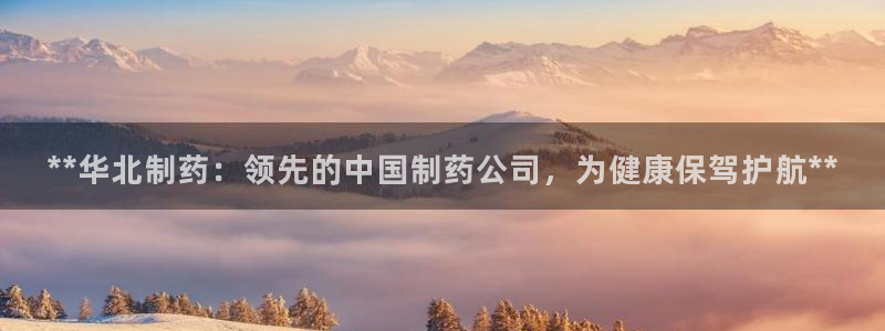 九游会老哥俱乐部论坛版：**华北制药：领先的中国制药公司，为