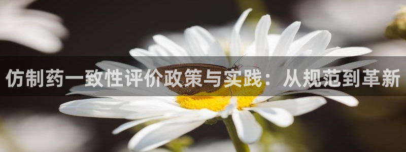 九游会老哥必备的交流社区：仿制药一致性评价政策与实践：从规范
