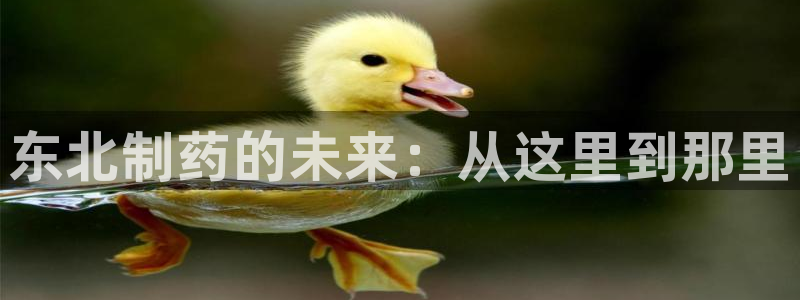 九游老哥俱乐部官网登录入口