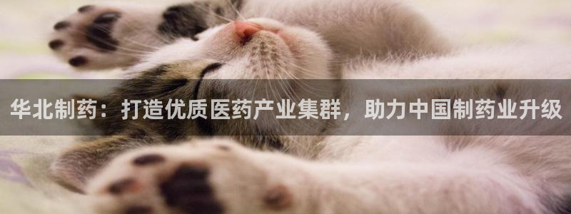 ag九游会老哥俱乐部:华北制药:打造优质医药产业集群,助力中