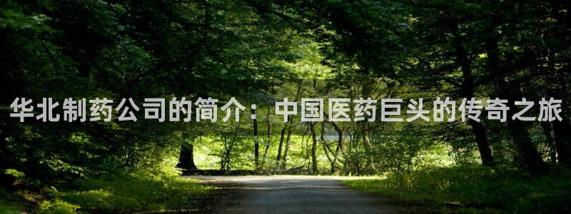老哥吧九游会下架吗：华北制药公司的简介：中国医药巨头的传奇之旅