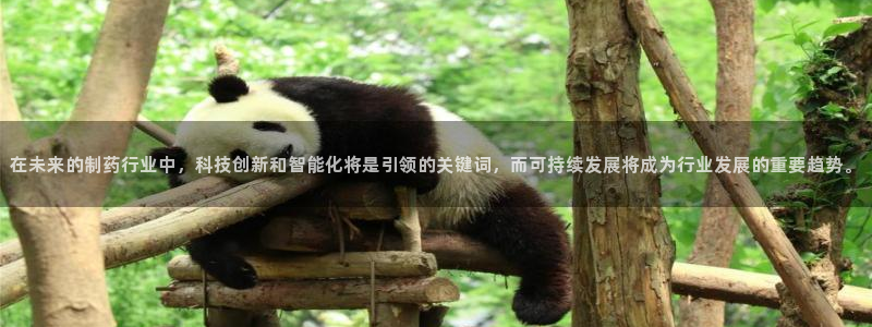 九游会老哥俱乐部论坛版：在未来的制药行业中，科技创新和智能化将是引领的关键词，而可持续发展将成为行业发展的重要