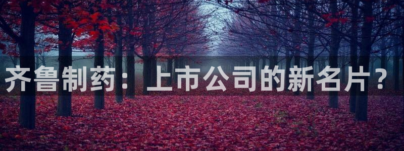 九游会老哥俱乐部社区论坛：齐鲁制药：上市公司的新名片？