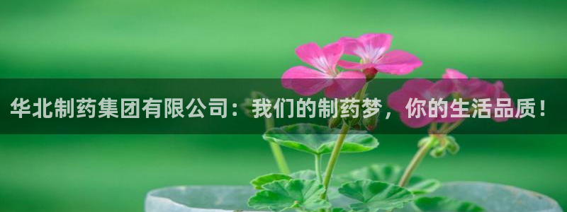 ag九游会老哥：华北制药集团有限公司：我们的制药梦，你的生活品质！
